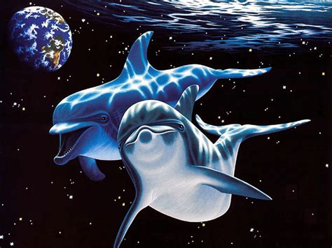 3D Dolphin Wallpaper - WallpaperSafari