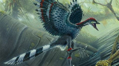 First birds were poor fliers – flaps would have buckled Archaeopteryx ...