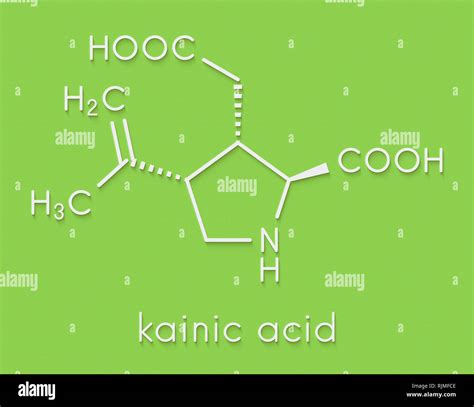 Kainic acid molecule. Direct agonist of the glutamic kainate receptors. Skeletal formula Stock ...