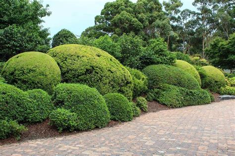 Auburn Botanic Gardens - infokids.com.au