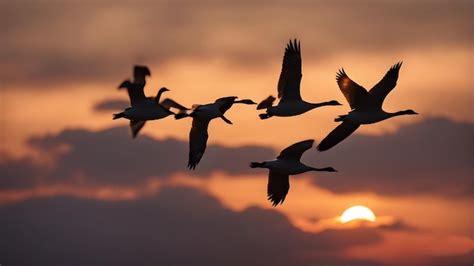 Premium AI Image | Silhouette of geese flock flying