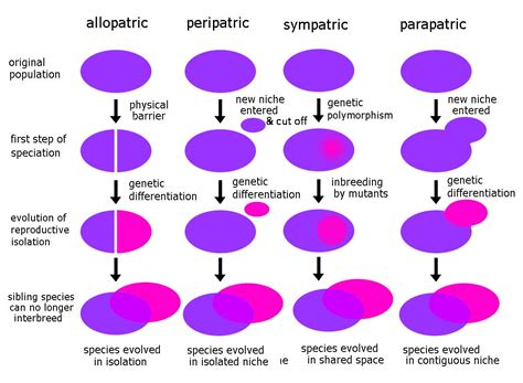 Macroevolution: The Genesis of Reproductively Isolated Populations from ...