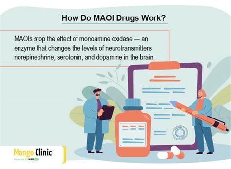 MAOI drugs for depression: How do they work? – Mango Clinic