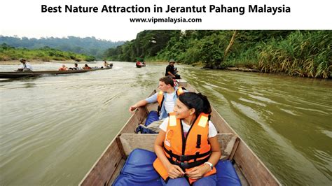 Best Nature Attraction in Jerantut Pahang Malaysia | vipmalaysia.com 1001 Best Destinations in ...