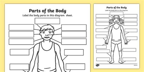 Parts Of The Body Worksheets | Pre-K/K-1 Labelling Activity