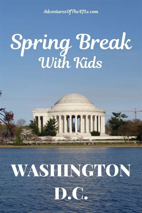 4 Nights in Washington, D.C. | Spring break, Dc travel, Spring break trips