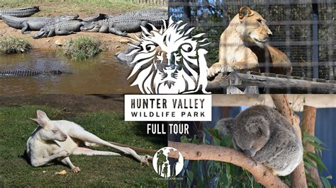 Hunter Valley Zoo / Wildlife Park - Full Tour + feeding Camels, Kangaroos, Ostrich & Barbary ...