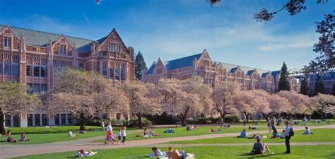 University of Washington - Demographic Perspectives