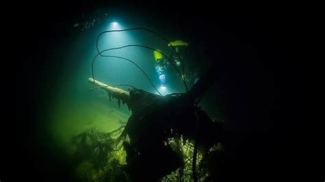 Baltic Sea: The Wreck Of A 1942 M-95 Submarine Found - DIVERS24.COM