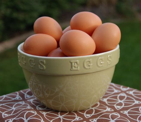 9 Huge Differences Between Free Range and Store Bought Eggs