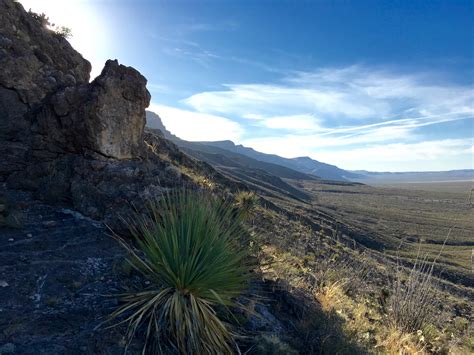 At the base of the Dog Canyon hike - Beyond