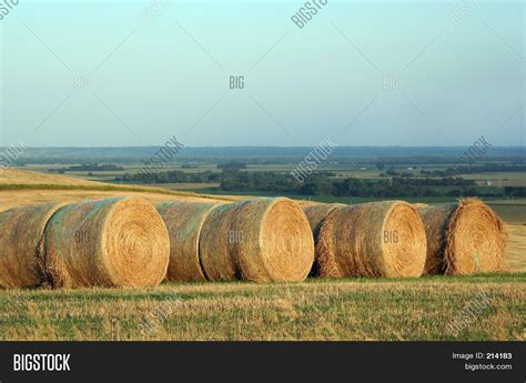 Round Hay Bales Image & Photo (Free Trial) | Bigstock