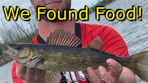 BWCA Fishing Episode 2 (Finding Walleye to Eat) - YouTube