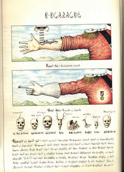 Codex Seraphinianus | Codex seraphinianus, Codex seraphinianus book ...