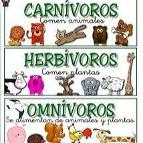 Stream episode Animales Herbívoros, Carnívoros Y Omnívoros - Videos Educativos Para Niños by ...