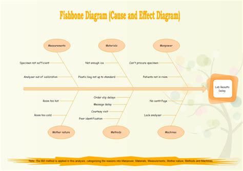 Fishbone Diagram 6m