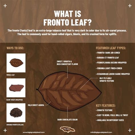 Fronto (Grabba) Leaf | Blog For All Things Grabba Leaf