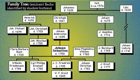 Enlightenment Johann Sebastian Bach: Johann Sebastian Bach's Interview