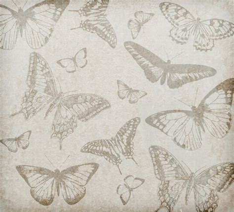 Butterfly Background Vintage Free Stock Photo - Public Domain Pictures