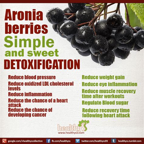 Detoxification – simple and sweet (Aronia berries) | Healthyss | Aronia ...