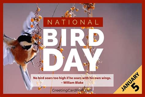 National Bird Day - Quotes, Captions, Fun Facts, FAQs, and More