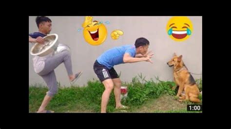 Very Funny Videos Best Sale | bellvalefarms.com