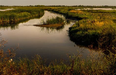 Quivira marshes | Quivira National Wildlife Refuge wetlands … | Flickr