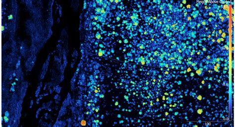 LiDAR Data | Davies Lab