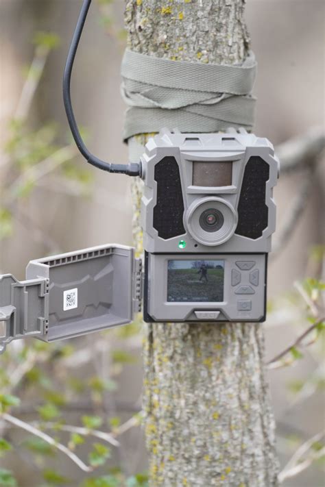 Tactacam™ REVEAL X-Pro Cellular Trail Camera | Cabela's Canada