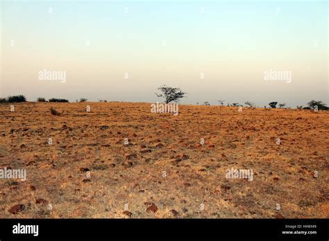 Barren land Stock Photo - Alamy