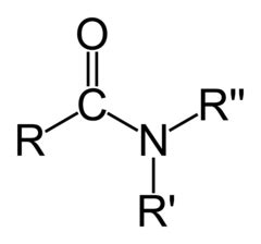 Amines, Amides, Imines, Imides, Enamines | Chemyclass