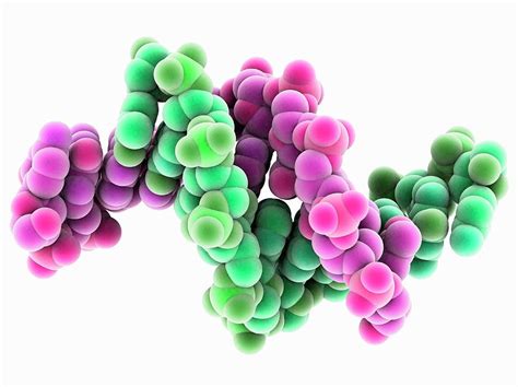 Synthetic Dna Molecule Photograph by Laguna Design - Fine Art America