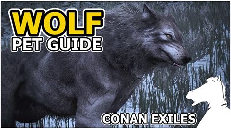 WOLF | Pets Guide | CONAN EXILES - YouTube