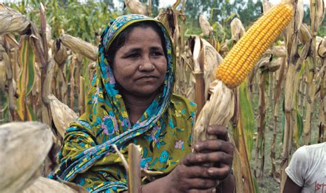 New publications: Exploring how women seize control of wheat–maize ...