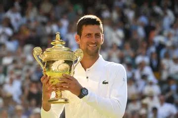 Djokovic's grand slams and all major trophies: How many trophies does ...