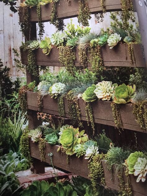 Pin by Veronica Parker Zielinski on Outdoor design | Succulent garden ...