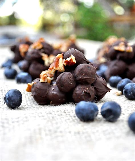 Dark Chocolate Blueberry Clusters - Fed & Fit