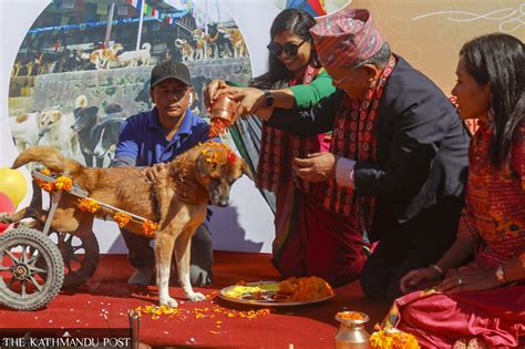 People celebrate Kukur Tihar