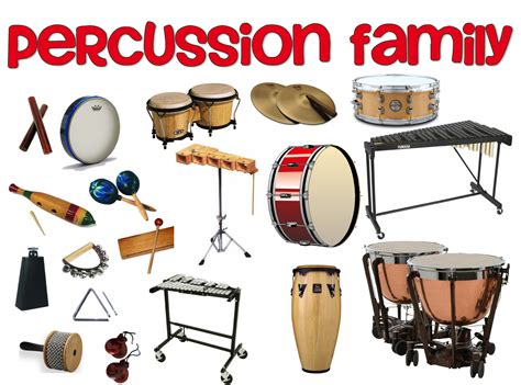 Gallery For > Orchestra Percussion Instruments