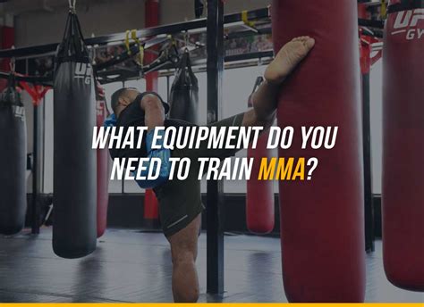 What Do You Need for MMA? - Fight Quality