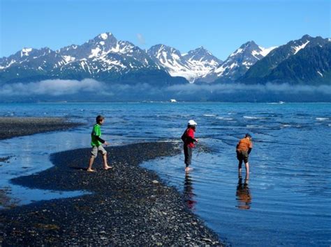 Located nearest to the entrance of the Kenai Fjords National Park, this is a hot spot for ...