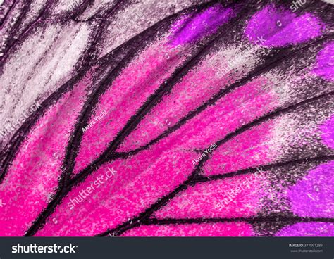 Macro Closeup Butterfly Wing Texture Background Stock Photo 377091289 ...