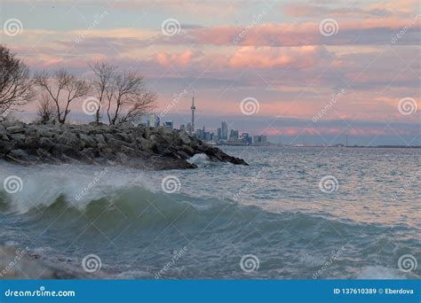 Lake Ontario at Sunset with Toronto City Skyline and CN Tower in the Background. Stock Image ...