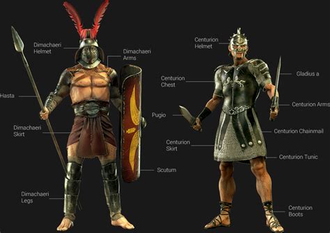 Roman Gladiator Armor And Weapons