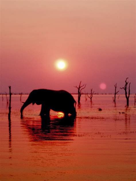 Lake Kariba,Zambia: - PixoHub