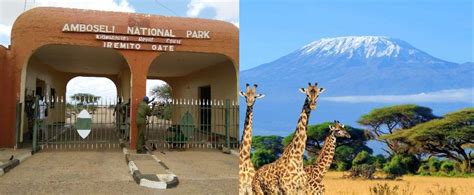 5 Amboseli National Park Facts | Ambseli National Park Safaris