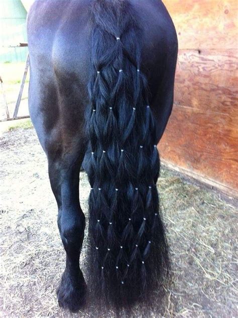 Lattice Fall | Horse braiding, Horse mane, Horses