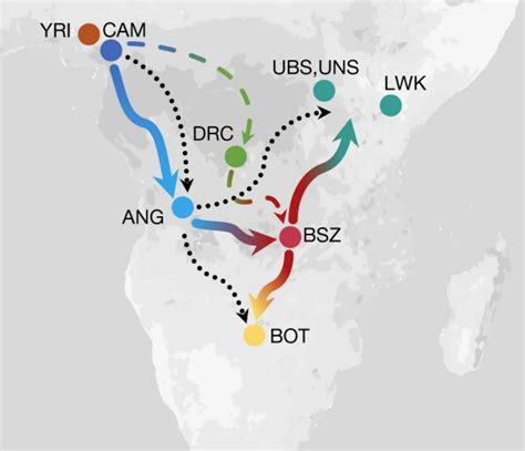 africa-map-routes | Courthouse News Service