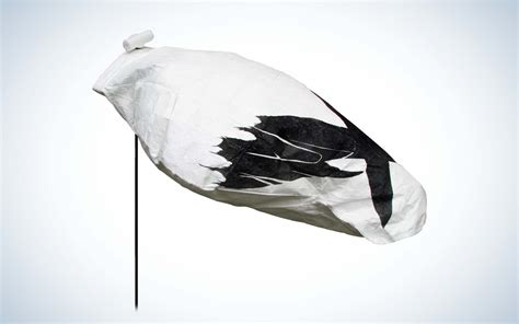 Best Snow Goose Decoys of 2023 | Outdoor Life