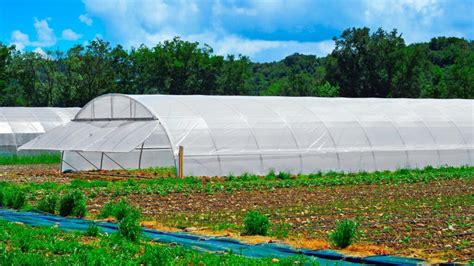 Introduction to High Tunnel Farming | N.C. Cooperative Extension